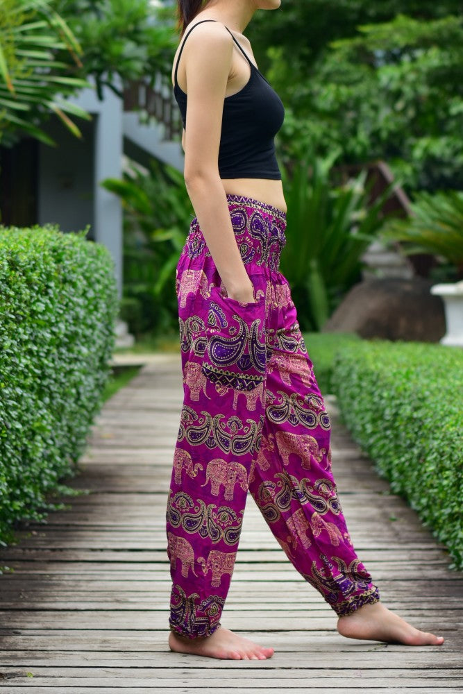 Purple 2024 harem pants